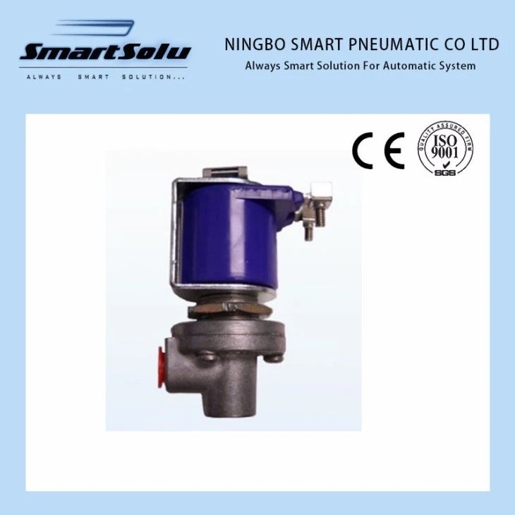 Goyen Remote Solenoid Pilot Valve Control Das Staubsammel-Membranventil