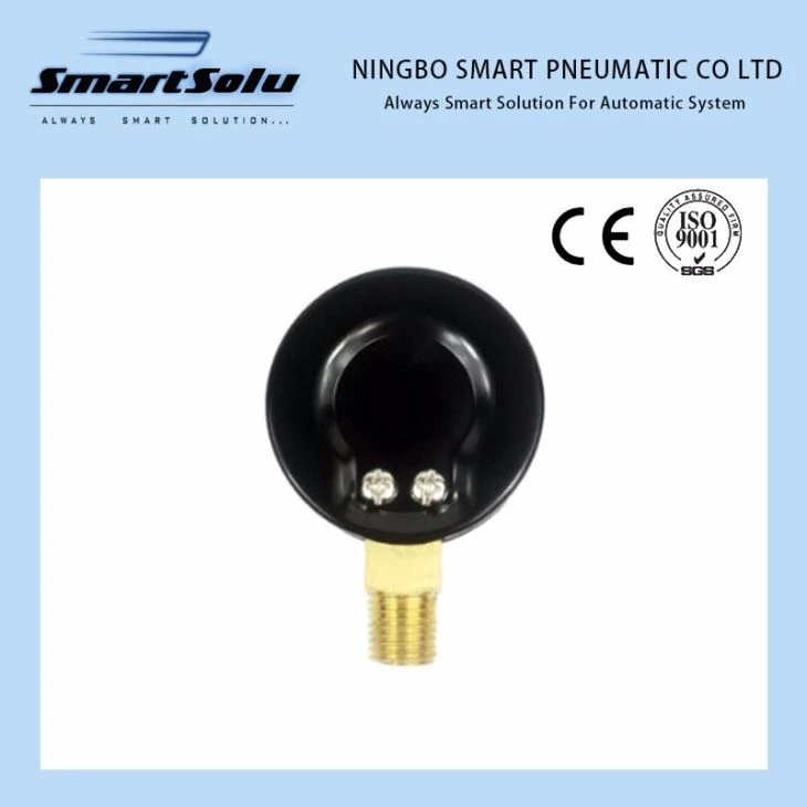 Y60A 200kg 2.5 Inch Brass Bottom Mounting Pressure Gauge And Black Iron Housing
